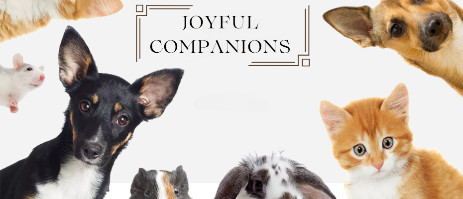 Keeping Your Furry Friends Happy: Pet Care Tips and Essentials