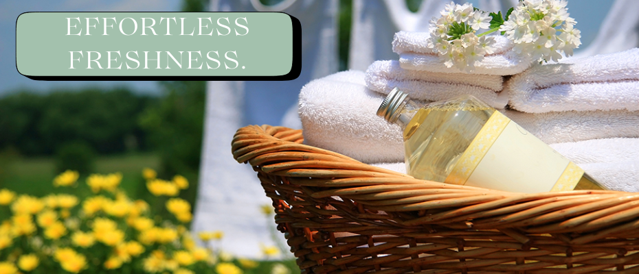 Laundry Care Simplified: Freshness and Comfort in Every Wash